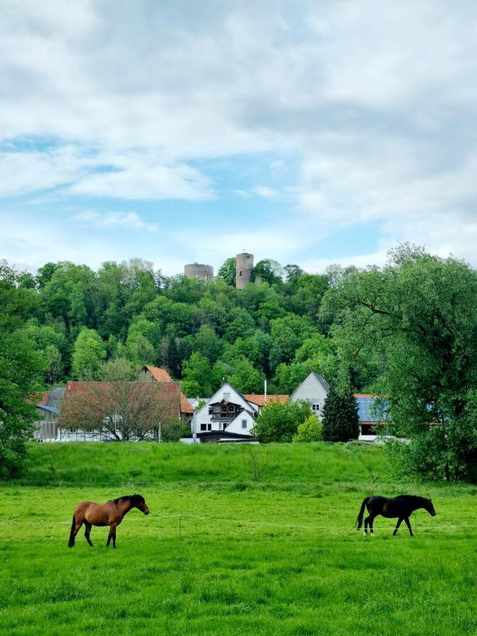 Ferienhaus Diemelaue Mit Klimaanlage Bad Karlshafen Luaran gambar